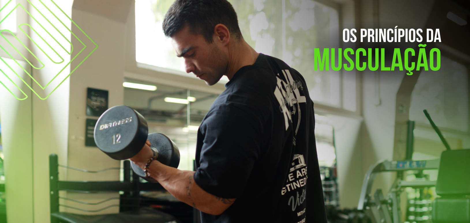 Princípios da Musculação: o que são e por que fazem toda a diferença nos seus resultados